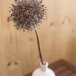 Glamping House Julija - Wellness & View Appartamento