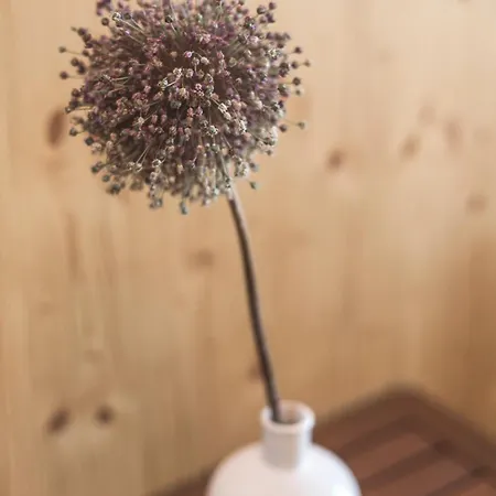 Glamping House Julija - Wellness & View Apartmán