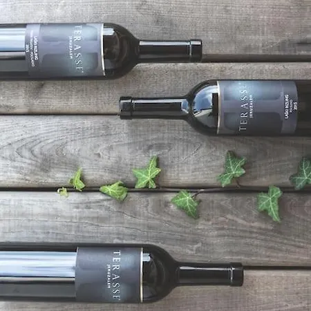 Glamping House Julija - Wellness & View شقة