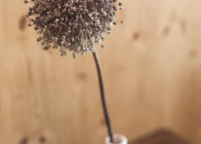 Glamping House Julija - Wellness & View דירה