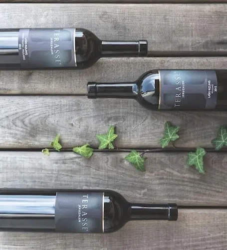 Glamping House Julija - Wellness & View Apartmán